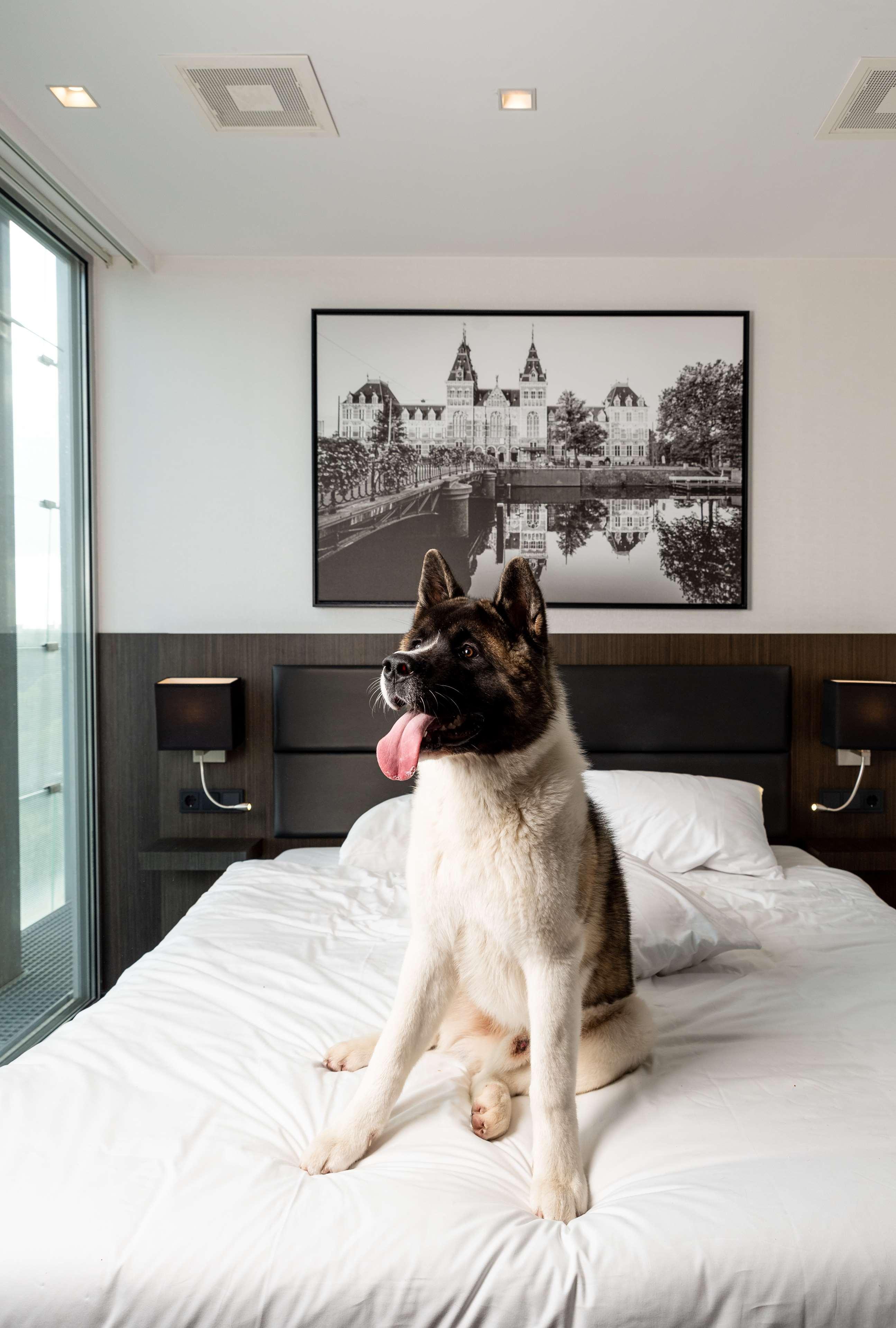 Radisson Hotel And Suites Amsterdam South Eksteriør bilde